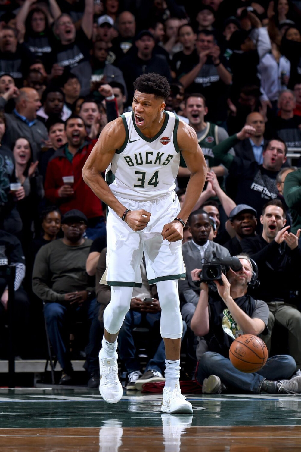 入单打回合 入单打回合